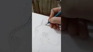 Anatomy of leaf- section 6- تشريح الورقة