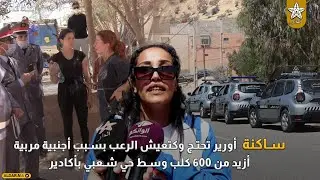 كيحرقو الكلاب .. ساكنة أورير تحتج وكتعيش الرعب بسبب أجنبية مربية أزيد من 600 كلب وسط حي شعبي بأكادير