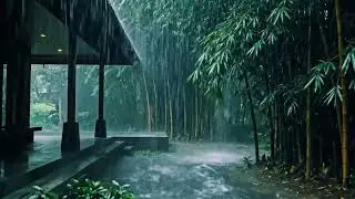 Cinematic Heavy Rain ASMR by the Terrace, Green Bamboo Swaying in a Dreamlike Night Calm 26