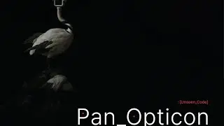 Pan_Opticon :[Unseen_Code]  / Black Swan Code