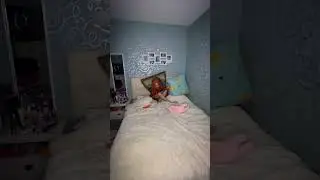 Живая картина и Самара! Часть 2! #shorts