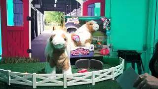 FurReal Baby Butterscotch Pony (Toy Fair 2012) - Chip Chick