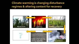 Monica Turner - Interacting Stressors, Compound Disturbances, & Abrupt Change Terrestrial Ecosystems