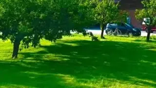 አሰላሙ አለይኩም🌹🌻☕️☕️
