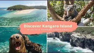 Discover Kangaroo Island Wildlife & Stunning Coasts Await 🌊🦘