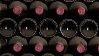 Luna di Luna Evolution Video