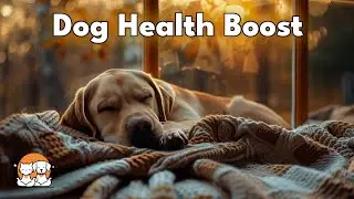 Dog Health Boost: Calm Relaxing Music for Dogs: Calming Music to Cleanse Bacteria & Support Recovery