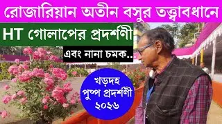 খড়দহ পুষ্প প্রদর্শণীতে গোলাপের নানা ভ্যারাইটি ও কোয়ালিটি চমকে দিল সবাইকে। কি বললেন অতীন বসু ? 