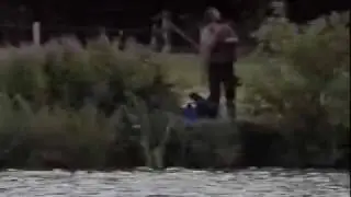 John Wilson - Stuck In The Tree