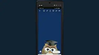 Curso de Instagram Marketing Completo  -Configura&ccedil;&otilde;es avan&ccedil;adas para o feed do Instagram