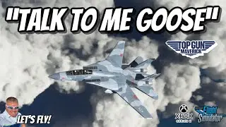Maverick Says &ldquo;TALK TO ME GOOSE&rdquo; To Recover F-14 Flat Spin! TOP GUN | MICROSOFT FLIGHT SIMULATOR