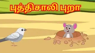 புத்திசாலி புறா Kids Animation Tamil  | kids stories Tamil | Moral Kids stories Tamil