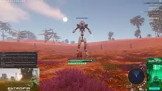 Second Ent.  3071 PED HOF #realcashgame #hof #entropiauniverse #getrich  #gaming #mmorpg