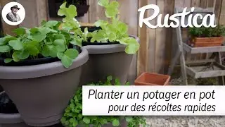 Un potager en pot pour des r&eacute;coltes rapides