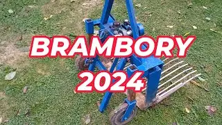 BRAMBORY 2024
