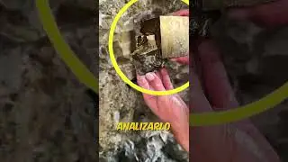 Esta chica encontr&oacute; un trozo de oro gigante&hellip; pero la verdad sorprendi&oacute; a todos