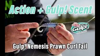 Berkley Gulp! Креветка-немезис: как действует, форма тела и как её ловить