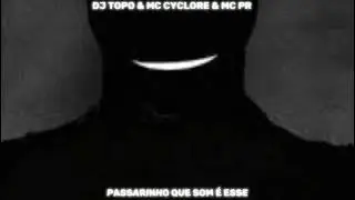 PASSARINHO QUE SOM &Eacute; ESSE 🎧🔥 (Speed Up, Best Part + Wasted Sound) 