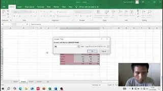 Microsoft Excel (pivot table, conditional formatting, analysis data)