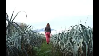 Conna&icirc;tre et favoriser la biodiversit&eacute; en agriculture : l'Observatoire Agricole de la Biodiversit&eacute;