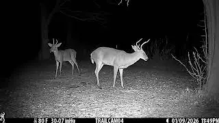 Cam04 2026/01/09 1080p
