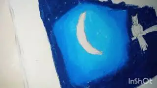 drawing an owl in night ✨ school project:Art