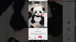 pandaaaa 🐼&hearts;️🐼&hearts;️🐼