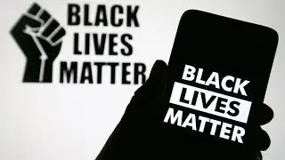 Entire Black Lives Matter movement is &lsquo;based on a lie&rsquo;