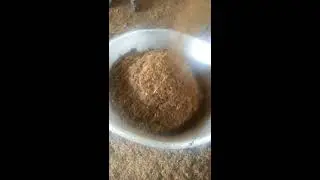 Chicken Rendering Continuous Plant By Shiva Subramaniya Industries,  Bengaluru