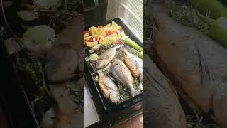 Rabye bouden Cuisine wiou Dorade vacances a la wiou