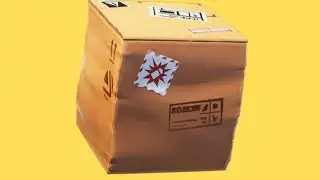 Boxes and Bushes | Arsenal of Games Shorts