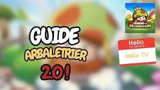Le guide ultime de l'arbal&eacute;trier (enfin jusqu'au prochain changement)
