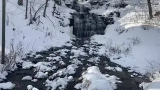 Winter Danse