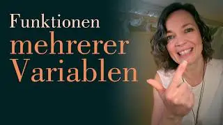 Mehrdimensionaler Definitionsbereich - Funktionen mit mehreren Veränderlichen