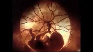 Breathtaking 8 Week Ultrasound #Shorts #pregnancy #babies #ultrasound #8weeks #PrenatalDevelopment