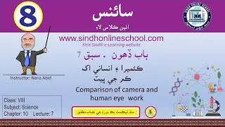 Camera & Eye (function)| Science Class 8| Chapter 10| Lecture 7| by Nana Abid| Sindh Online School