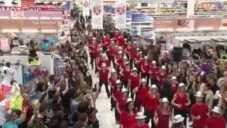 Vidéo Officielle - FLASH MOB - E.LECLERC TIGNIEU (38) - 1er juin 2013