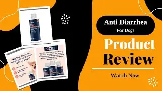 Vets Preferred Anti Diarrhea Liquid for Dogs - Diarrhea & Gas Relief