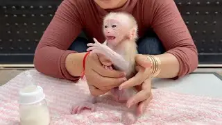 Poor Baby Tauch Confusing To Mom Weaning Him Sucking Thumb