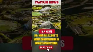 indore once again nine person fell ill. madhya pradesh