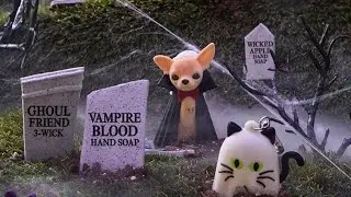 Bath & Body Works Halloween 2021 Preview + more SUMMER SAS Items Online