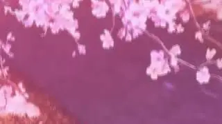 Belonging - Found_somewhere