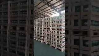 😄New Finished Glass Insulator Are Ready to Ship-Nooa Electric #electric #insulators#factory