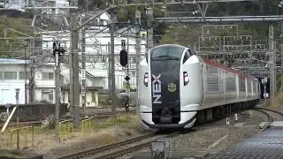 E259系Ne008編成特急マリンエクスプレス踊り子75号　熱海駅到着