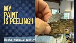 Why Your Exterior Paint is Peeling (Even After Power Washing & Priming)