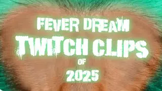 The Hitbox Monkey  🐒 Twitch Clip Fever Dream Of 2025 #funnymoments