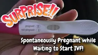 SPONTANEOUSLY PREGNANT While Waiting to Start IVF | How Did We Get Here and What Now???
