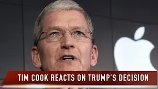 Tim Cook Reacts On Donald Trump's Decision to leave Paris Agreement