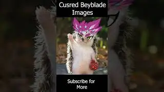 Curse Beyblade Images I found