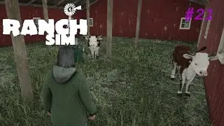 Mit viel M&uuml;he giebts jetzt K&uuml;he🚜Ranch Simulator #21
